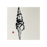 森羅万象 The Universe